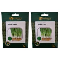 Cebolinha Todo Ano Sementes Horticeres 10g Sementes para Cultivo a Céu Aberto Cebolinha Todo Ano Sementes Horticeres 10g Sementes para Cultivo a Céu Aberto