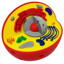 Célula Animal Eucarionte 14 cm Impressão 3d Maquete Biologia Citologia - Pupa 3D