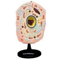 Célula Vegetal Ampliada 20.000X Célula Vegetal Ampliada 20.000X