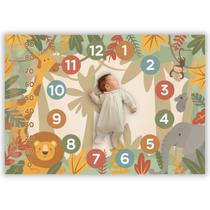 Cenario Mesversario Painel de Fotos Crescimento Bebe Memorias Maternidade 12 Meses Lençol com Modura