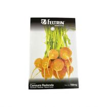 Cenoura Redonda Roterdã - 700mg de Sementes