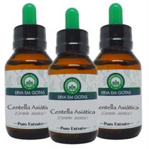Centella asiática - Extrato 60ml (3 Unidades) - Herbal Foods