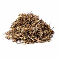 Centella Asiática - PREMIUM - 50 GR. - Centella Asiática - PREMIUM - 50 GR. -