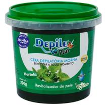 Cera Depilatória Hortelã Depile Plus Hidrossolúvel 600g