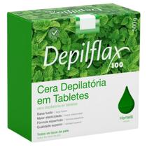 Cera Quente Depilatória Depilação Profissional Hortelã Depilflax Barra 500g