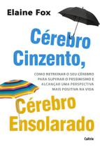 Cérebro Cinzento, Cérebro Ensolarado - Como Retreinar o Seu Cérebro Para Superar o Pessimismo e Alca