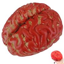 Cerebro Falso Halloween Sangue Artificial Festa Tematica Decoraçao Susto Terror Realista Horripilante Enfeite Cerebro Falso Halloween Sangue Artificial Festa Tematica Decoraçao Susto Terror Realista Horripilante Enfeite