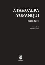 Cerro Bayo