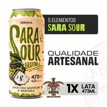 Cerveja Artesanal 5 Elementos Sara Sour Graviola Lata 473ml