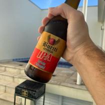 Cerveja Artesanal Buriti Ipa Puro Malte 355ml
