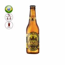 Cerveja bierbaum 355ml fruit beer abacaxi Cerveja bierbaum 355ml fruit beer abacaxi