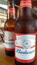 Cerveja budweiser