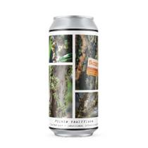 Cerveja Greenhouse Plinia Cauliflora Sour com Café e Frutas - Lata 473ml