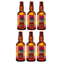 Cerveja hocus pocus orange sunshine 500ml pack c/6unid