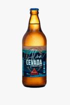 Cerveja Sem Carboidrato Bruder Alma Cevada 600ml - 15 Un
