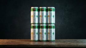 Cerveja Ultra Sem Glúten Queens Lata 269ml Pack c/6