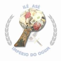 Cesta de Conchas - G