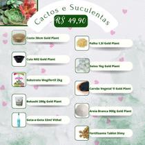 Cesta Dia Das Maes Orquidea Cactos e Suculentas Rosa Do Deserto Ou Plantas e Flores Cesta Dia Das Maes Orquidea Cactos e Suculentas Rosa Do Deserto Ou Plantas e Flores