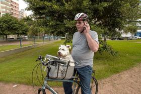 Cesto Cadeirinha Cães Em Bicicleta Pet-Basket Bege Rápido