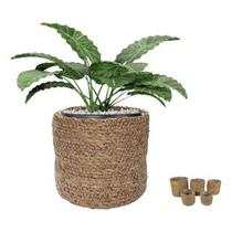 Cesto Decorativo Cachepot Redondo Em Fibra Natural Seagrass Com Forro Plástico Impermeável