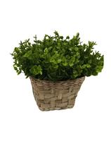 Cesto Vaso Cachepo De Palha Decorativo Sala Varanda Jardim Ocre