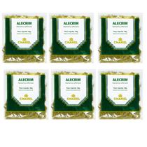 Chá Alecrim Folhas Natural Kit 6 Pacotes Chamel Chá Alecrim Folhas Natural Kit 6 Pacotes Chamel