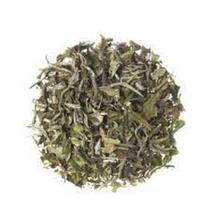 Cha Branco 100g Camellia sinensis LondriNutri Cha Branco 100g Camellia sinensis LondriNutri