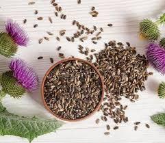 Chá Cardo Mariano Sementes Silybum Marianum 100g - Produto Natural - No-Brand