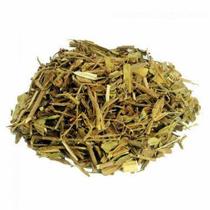Chá Carqueja Doce Baccharis Articulata 100g - Benefícios e Modo de Preparo Chá Carqueja Doce Baccharis Articulata 100g - Benefícios e Modo de Preparo