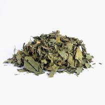 Chá Chapéu de Couro 100g - Echinodorus Grandiflorus Chá Chapéu de Couro 100g - Echinodorus Grandiflorus