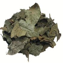 Chá de Bugre 1Kg (Cordia salicifolia) Chá de Bugre 1Kg (Cordia salicifolia)