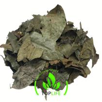 Chá de Bugre 500Gr (Erva seca)