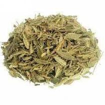 Chá de Carobinha Folhas Secas 100g - Jacarandá Caroba Chá de Carobinha Folhas Secas 100g - Jacarandá Caroba