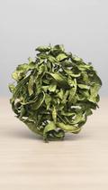 Chá de Ervas Verbena Officinalis Seca 50g
