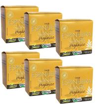 Chá de Espinheira Santa Kit 6 Orgânico (60 sachês) Campo Verde Chá de Espinheira Santa Kit 6 Orgânico (60 sachês) Campo Verde