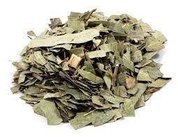 Chá de Eucalipto Citriodora 100g - Cheiroso para Sauna Chá de Eucalipto Citriodora 100g - Cheiroso para Sauna