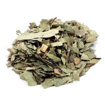 Chá de Eucalipto Folhas - Eucalyptus citriodora 100g Chá de Eucalipto Folhas - Eucalyptus citriodora 100g