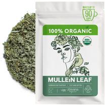 Chá de Folha de Verbasco Orgânico Zhivana Organics 56g a Granel Chá de Folha de Verbasco Orgânico Zhivana Organics 56g a Granel