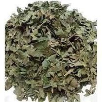 Chá de Folhas Desidratadas de Manga - 30g - Mangifera Indica Chá de Folhas Desidratadas de Manga - 30g - Mangifera Indica