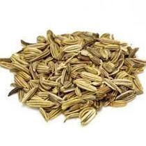 Chá de Funcho (Foeniculum vulgare) 100g - Sementes Naturais