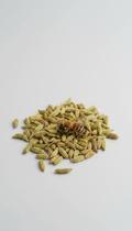 Chá de Funcho Sementes 100g Natural Chá de Funcho Sementes 100g Natural