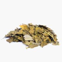 Chá de Ginkgo Biloba - Ginkgo biloba 200g - LONDRIERVAS