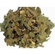 Chá de Guacatonga (Casearia sylvestris) 100g - Planta Seca para Infusão Chá de Guacatonga (Casearia sylvestris) 100g - Planta Seca para Infusão