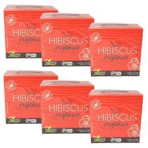 Chá de Hibiscus Kit 6 Orgânico (60 sachês) Campo Verde