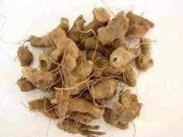 Chá de Nó de Cachorro (Heteropteris afrodisiaca) Raiz Desidratada 100g