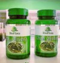 Chá de Oliveira 500mg c/60 cápsulas - Bio Flora