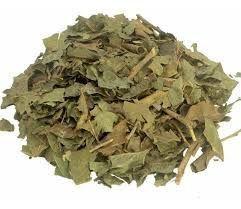 Chá de Porangaba Bugre 100g - Cordia Salicifolia