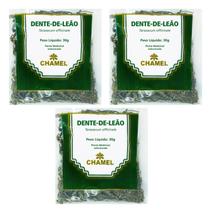 Chá Dente de Leão Natural Kit 3 Pacotes Chamel
