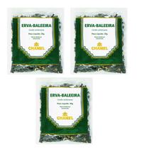 Chá Erva Baleeira Natural Kit 3 Pacotes Chamel