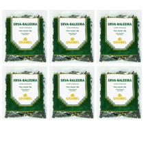 Chá Erva Baleeira Natural Kit 6 Pacotes Chamel
